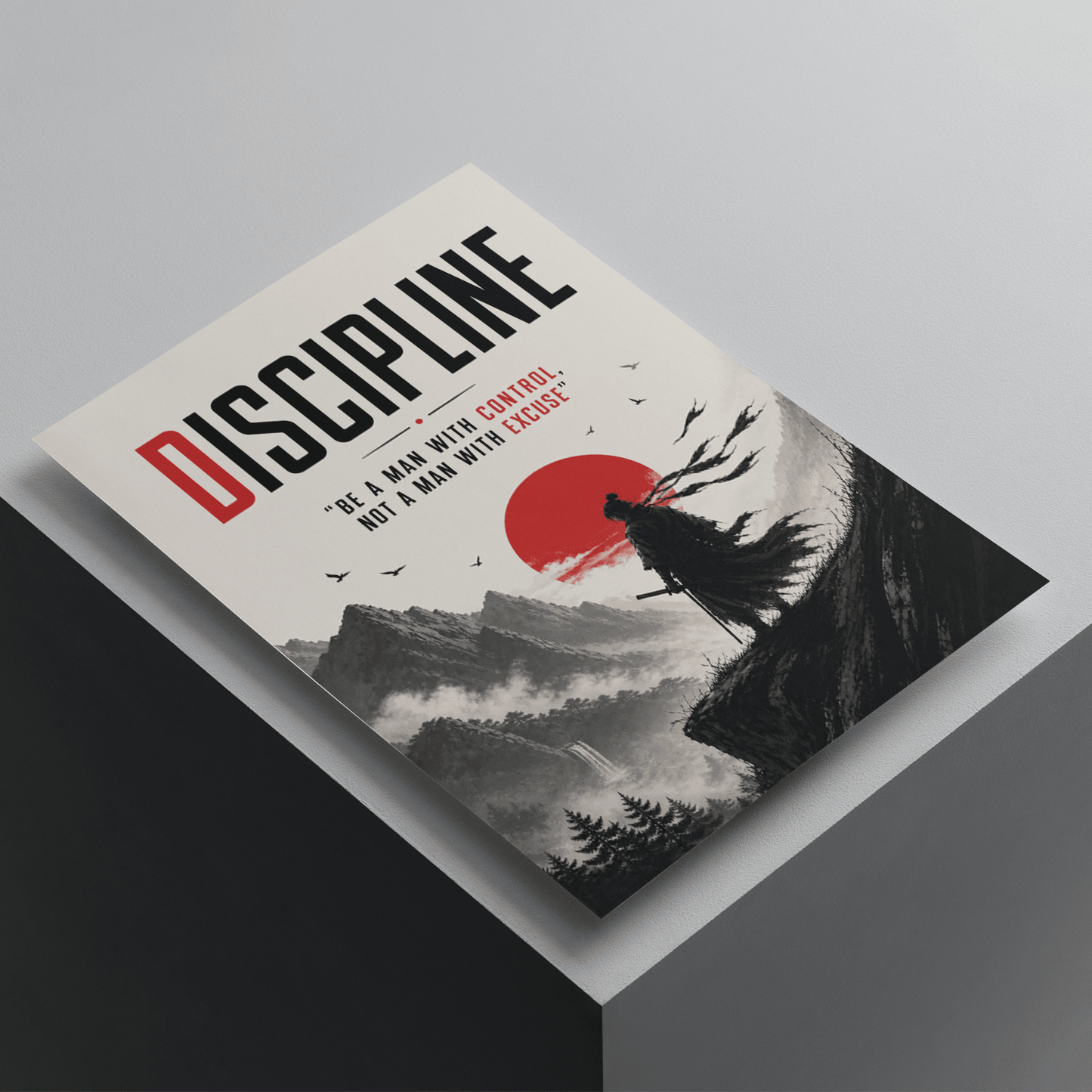 Discipline motivational poster featuring a lone warrior and red sun landscape, inspirational wall art promoting self-control, focus, and personal growth.